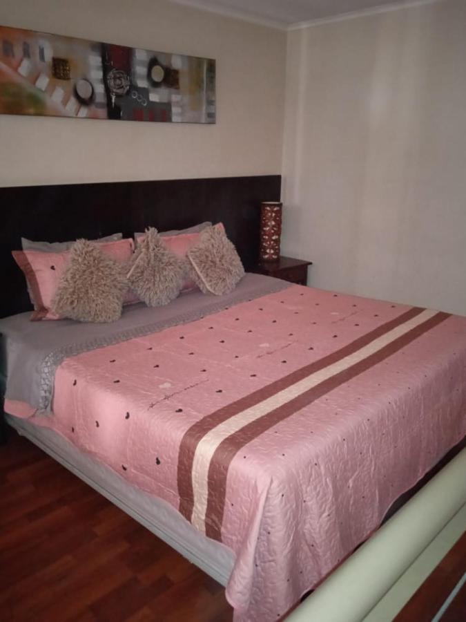 Central Suites Santiago Dış mekan fotoğraf